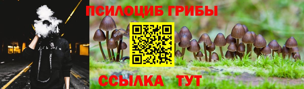 Галлюциногенные грибы ЛСД Евпатория